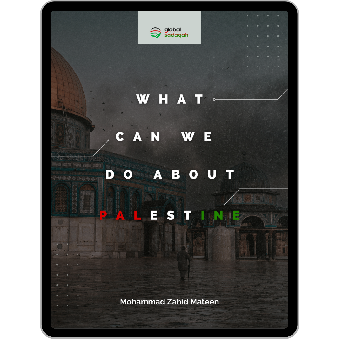 What Can We Do About Palestine?